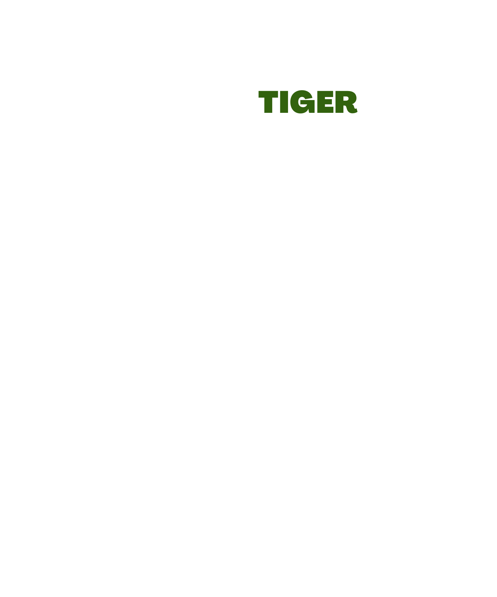 New Logo White